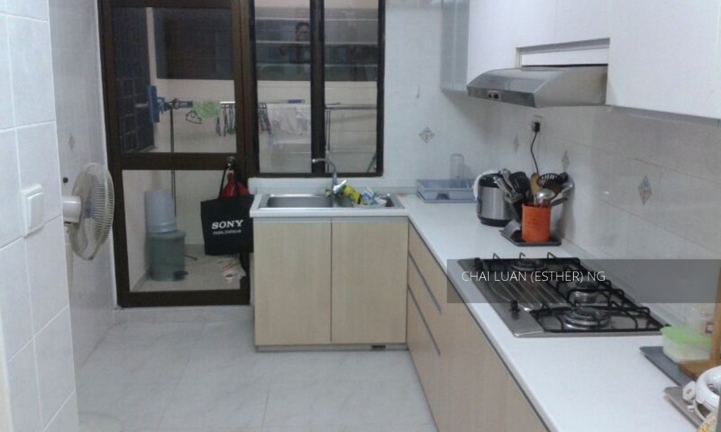 Blk 202A Compassvale Drive (Sengkang), HDB Executive #144948812